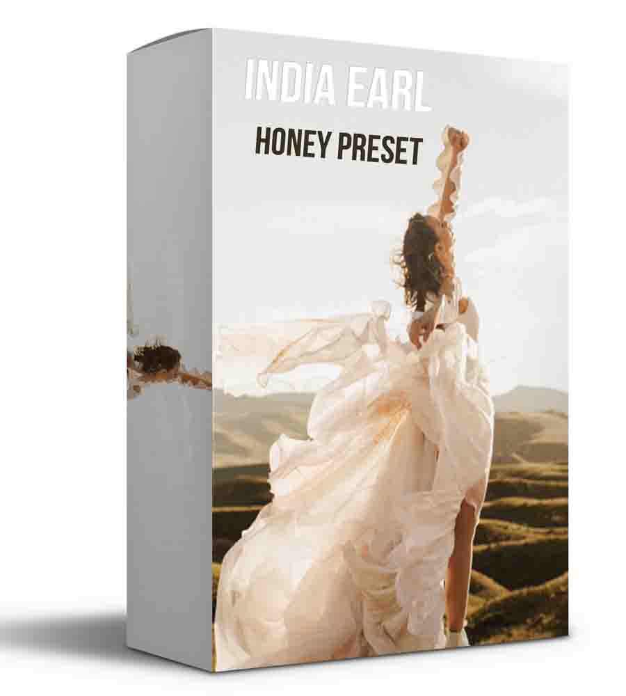 DVLOP India Earl Cine Presets